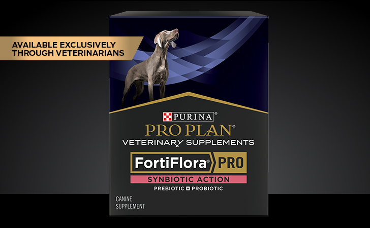 Purina ProPlan Fortiflora Canine Probiotic 1 sachet